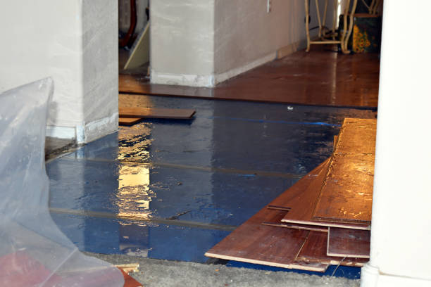 Professional Sewage Cleanup technician working in Muir, MI